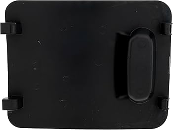Amazon.com: Polaris 5454122 Black Engine Access Door Panel RZR